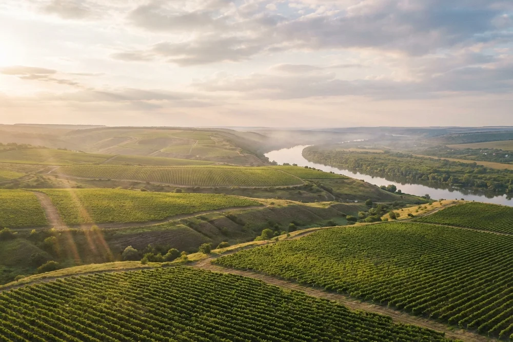 Долина Дона