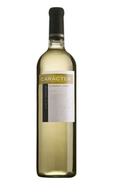 Вино Bodegas Santa Ana Caracter Chardonnay-Chenin 2013 0,75 л