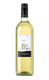 Вино Cielo e Terra Gruppo Cantine Colli Berici Terre Allegre Trebbiano Venezie IGT Demi-Secco 0,75 л