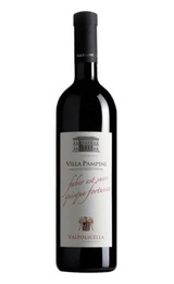 Вино Cevico Gruppo Villa Pampini Valpolicella 2016 0,75 л
