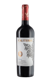 Вино Vina Caliterra Merlot Reserva Colchagua Valley 2016 0,75 л