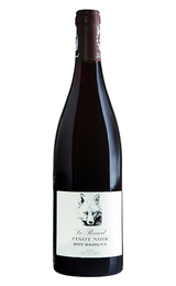 Вино Chateau de Chamirey Bourgogne Le Renard Maison Devillard Pinot Noir 2015 0,75 л