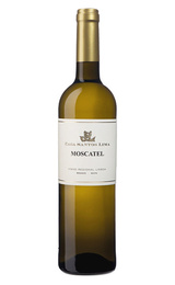 Вино Casa Santos Lima Moscatel 2017 0,75 л