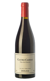 Вино Castro Candaz El Barredo Ribeira Sacra 2014 0,75 л