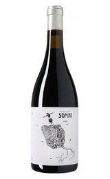 Вино Portal del Priorat Somni Priorat BIO 2015 0,75 л