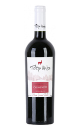 Вино Aguirre Terra Unica Carmenere Reserva 0,75 л