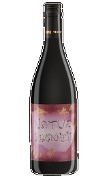 Органическое вино Weingut Hareter Thomas Naturschoncheit 0,75 л
