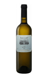 Вино Casale Del Giglio Antinoo Lazio 2016 0,75 л
