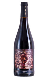 Вино Ignacio Marin Elements Terra Garnacha & Carignano 0,75 л