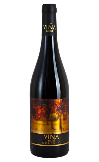 Фернандо Кастро Темпранильо-Сира 0.75 л фото вино Vina Castro Tempranillo-Syrah 0,75 л