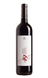 Вино Vinselekt Michlovsky Frankovka kabinet Latitude 49 0,75 л