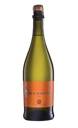 Игристое вино Cantina Giubiasco Ticino Bucaneve Merlot 2017 0,75 л