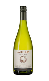 Вино Vina Caliterra Sauvignon Blanc Tributo 2018 0,75 л
