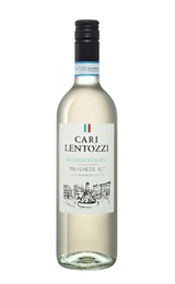 Вино Villa degli Olmi Cari Lentozzi Sauvignon Blanc Trevenezie 2019 0,75 л