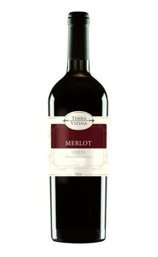 Вино Casere Terra Vizina Merlot Veneto 2019 0,75 л