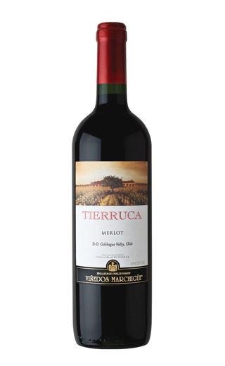 Террука Мерло 0.75 л фото вино Tierruca Merlot 0,75 л