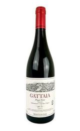Вино Gattaia Pinot Noir 2015 0,75 л