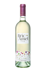 Вино Marchesi di Barolo Bric Amel Langhe 2017 0,75 л