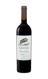 Вино Castellani Cacciata Chianti Classico Riserva 2015 0,75 л