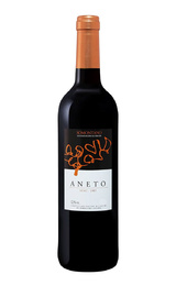 Вино Bodega Pirineos Aneto Somontano 2013 0,75 л