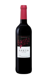 Вино Bodega Pirineos Aneto Somontano 2012 0,75 л