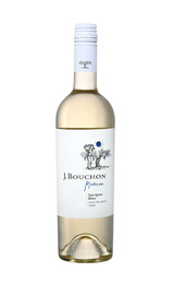 Вино J.Bouchon Sauvignon Blanc Maule Valley 2019 0,75 л
