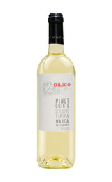 Вино Anna Spinato Diligo Pinot Grigio 2018 0,375 л