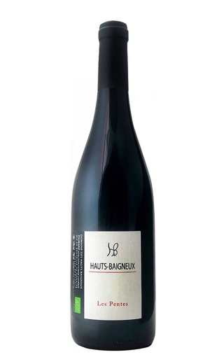 О Бенье Ле Пант Турень 2019 0.75 л фото вино Hauts Baigneux Les Pentes Touraine 2019 0,75 л