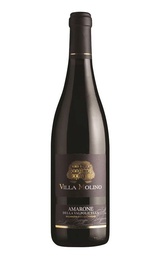 Вино Villa Molino Amarone della Valpolicella 2015 0,75 л