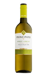 Вино Cavit Principato Pinot Nero 2019 0,75 л