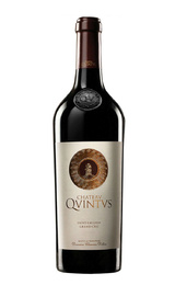 Вино Chateau Quintus 2017 0,75 л