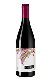 Вино Coto de Gomariz Ailala Souson 2018 0,75 л