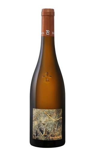 Вино Domaine Pierre Luneau-Papin Terre de Pierre 2020 0,75 л