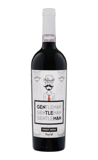 Вино Ferro 13 Gentleman 2020 0,75 л