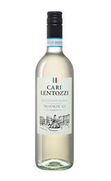 Вино Villa degli Olmi Cari Lentozzi Sauvignon Blanc Trevenezie 2020 0,75 л