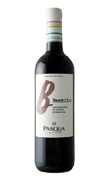 Вино Pasqua Bardolino 2020 0,75 л