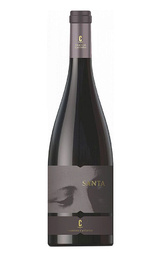 Вино Castano Santa Yecla 2016 0,75 л