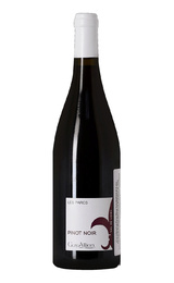 Вино Domaine Du Haut Perron Guy Allion Les Parcs 2018 0,75 л