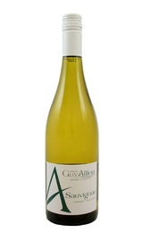 Вино Domaine Du Haut Perron Guy Allion A Thesee La Romaine Sauvignon 2020 0,75 л