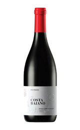 Вино Villa Raiano Costa Baiano Irpinia Campi Taurasini 2016 0,75 л