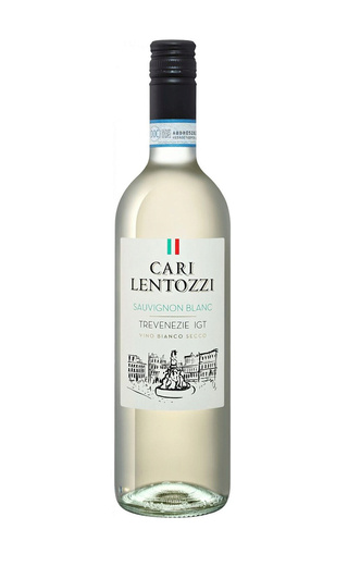 Вино Villa degli Olmi Cari Lentozzi Sauvignon Blanc Trevenezie 2021 0,75 л