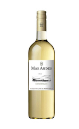Вино Mas Andes Sauvignon Blanc 2021 0,75 л