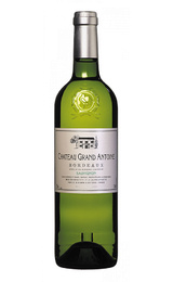 Вино Chateau Grand Antoine Sauvignon 2020 0,75 л