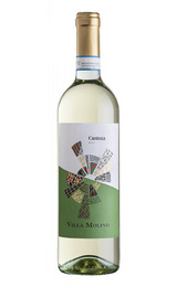 Вино Villa Molino Custoza 2021 0,75 л