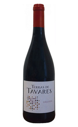Вино Quinta da Boavista Terras de Tavares Dao 2019 0,75 л