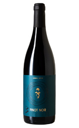 Вино Virtus Pinot Noir 2019 0,75 л