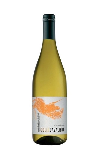 Кантина Толло Колле Кавальери Пекорино Терре ди Кьети 2020 0.75 л фото вино Cantina Tollo Colle Cavalieri Pecorino Terre di Chieti 2020 0,75 л