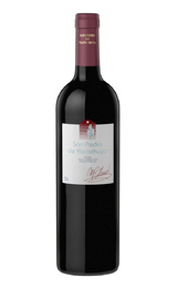 Вино San Pedro de Yacochuya 2013 0,75 л