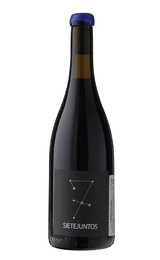 Вино Microbio Wines Sietejuntos Merlot 2018 0,75 л