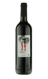 Вино Esencia Rural Pampaneo Ecologico Tempranillo 2021 0,75 л